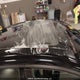 19UUB7F03SA800012 2025 Acura Tlx Type S auction photo thumbnail 19