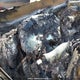2T3RWRFV9RW190077 2024 Toyota Rav4 auction photo thumbnail 15