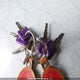 4YDT27227M7248254 2021 Keystone Hideout auction photo thumbnail 11
