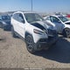 1C4PJMBS5GW256238 2016 Jeep Cherokee Trailhawk auction photo thumbnail 1