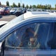 JN1BJ1CR5KW352497 2019 Nissan Rogue Sport S/Sv/Sl auction photo thumbnail 21