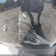 1FTVW1EV1PWG20748 2023 Ford F-150 Lightning Lariat auction photo thumbnail 6