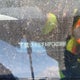 LRW3E1FA6PC920886 2023 Tesla Model 3 Rwd auction photo thumbnail 9