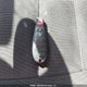 2C4RDGBG9GR331769 2016 Dodge Grand Caravan Se auction photo thumbnail 11