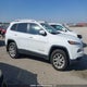 1C4PJMCB4GW166299 2016 Jeep Cherokee North auction photo thumbnail 13