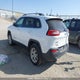 1C4PJMCB4GW166299 2016 Jeep Cherokee North auction photo thumbnail 3