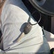 2HGFB2F48DH108542 2013 Honda Civic Lx auction photo thumbnail 11