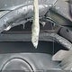 2T2BBMCA2RC061010 2024 Lexus Rx 350H auction photo thumbnail 7