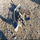 1FMCU9DZ7LUB52610 2020 Ford Escape Titanium auction photo thumbnail 12
