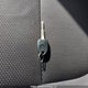 KNAFU5A27B5444460 2011 Kia Forte5 2.0L Ex auction photo thumbnail 11