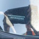 5N1AT2MV4HC810699 2017 Nissan Rogue Sv/Sl auction photo thumbnail 18