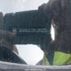 3GNAXUEG8PL203283 2023 Chevrolet Equinox Lt auction photo thumbnail 19