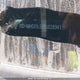 KMHD35LE0DU028341 2013 Hyundai Elantra Gt Se auction photo thumbnail 19