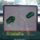 5YJ3E1EA2PF426659 2023 Tesla Model 3 Rwd auction photo thumbnail 7