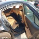 58ADZ1B15RU161425 2024 Lexus Es 350 350 auction photo thumbnail 8