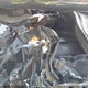 3VV0B7AX5KM149875 2019 Volkswagen Tiguan S auction photo thumbnail 10