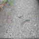 2T1BR32E93C715796 2003 Toyota Corolla auction photo thumbnail 11