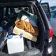 1C4RJFBG6FC673139 2015 Jeep Grand Cherokee Limited auction photo thumbnail 12