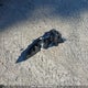 KNDJ33AU7R7225535 2024 Kia Soul Ex auction photo thumbnail 12