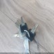 5UYTS34288R012614 2008 Pacific Coachworks Tango auction photo thumbnail 11