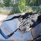 1C6RR7KT9KS615755 2019 Ram 1500 Classic St auction photo thumbnail 12