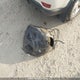 2C3CCAGT2EH120786 2014 Chrysler 300 S auction photo thumbnail 11