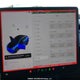 5YJ3E1EB9NF113419 2022 Tesla Model 3 auction photo thumbnail 7