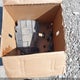 JN8BT3BB2SW156996 2025 Nissan Rogue Sv/Rc auction photo thumbnail 12