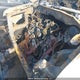 1FTPW14V89FB45483 2009 Ford F-150 Fx4/King Ranch/Lariat/Platinum Package/Xlt auction photo thumbnail 10