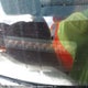 1HGCG22512A801712 2002 Honda Accord Cpe auction photo thumbnail 9