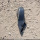 3FADP4FJ3BM220498 2011 Ford Fiesta Ses auction photo thumbnail 12