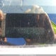 LUCGE8H3XC3003631 2012 Honda Fit Dx-A auction photo thumbnail 18