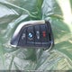 5UXTY5C08L9D66949 2020 BMW X3 xDrive30I auction photo thumbnail 11