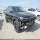 1C4PJMBXXKD116072 2019 Jeep Cherokee Trailhawk auction photo thumbnail 3