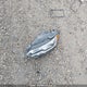 3VWE57BU5KM045576 2019 Volkswagen Jetta 1.4 Tsi Highline auction photo thumbnail 12