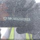 KMHLN4DG3SU038326 2025 Hyundai Elantra auction photo thumbnail 19