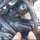 5HD1BW51X9Y049960 2009 Harley-Davidson Flstc auction photo thumbnail 12