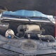 WD3BE8CDXJP616461 2018 Mercedes-Benz Sprinter 2500 High Roof V6 auction photo thumbnail 10