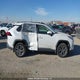 2T3RWRFV6SW282513 2025 Toyota Rav4 Hybrid Xle auction photo thumbnail 13
