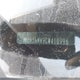 JN8AS5MV9CW410996 2012 Nissan Rogue Sv W/Sl Pkg auction photo thumbnail 9