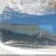 2HKRW2H5XJH133824 2018 Honda Cr-V auction photo thumbnail 9