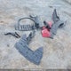 5N1AT2MV9GC834950 2016 Nissan Rogue S/Sl Premium/Sv auction photo thumbnail 12