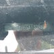 JM1BL1H55A1309657 2010 Mazda 3 S auction photo thumbnail 9