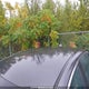 KNAGM4A72E5518799 2014 Kia Optima Lx auction photo thumbnail 21