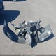 WVGLV7AX2HK026453 2017 Volkswagen Tiguan Highline auction photo thumbnail 12