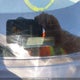 1FTFW1EF6BFC79031 2011 Ford F-150 Xlt auction photo thumbnail 19