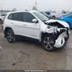 1C4PJMDX3KD372048 2019 Jeep Cherokee auction photo thumbnail 13