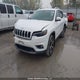 1C4PJMDX3KD372048 2019 Jeep Cherokee auction photo thumbnail 2