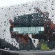 1N4BZ1CVXMC552336 2021 Nissan Leaf Sv Plus auction photo thumbnail 20