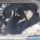 WMWZC5C5XFWP42802 2015 Mini Cooper S Countryman auction photo thumbnail 8